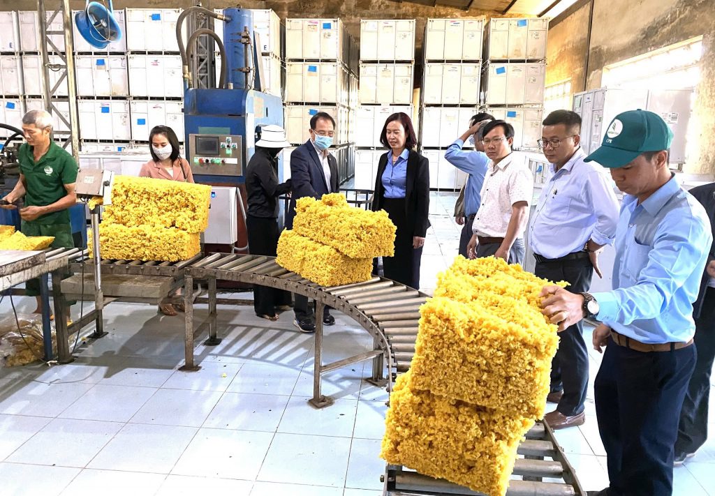 Ứng dụng các giải pháp kỹ thuật để nâng cao chất lượng sản phẩm – Yếu tố quyết định ở Cao su Chư Prông
